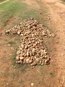 Another sign? The arrows along the path come in all shapes and sizes