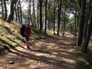 The walk down hill to Roncavelles was very steep and went through some very nice forests 