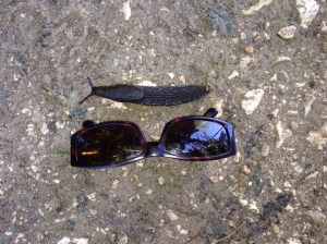 The slugs are big in Spain!